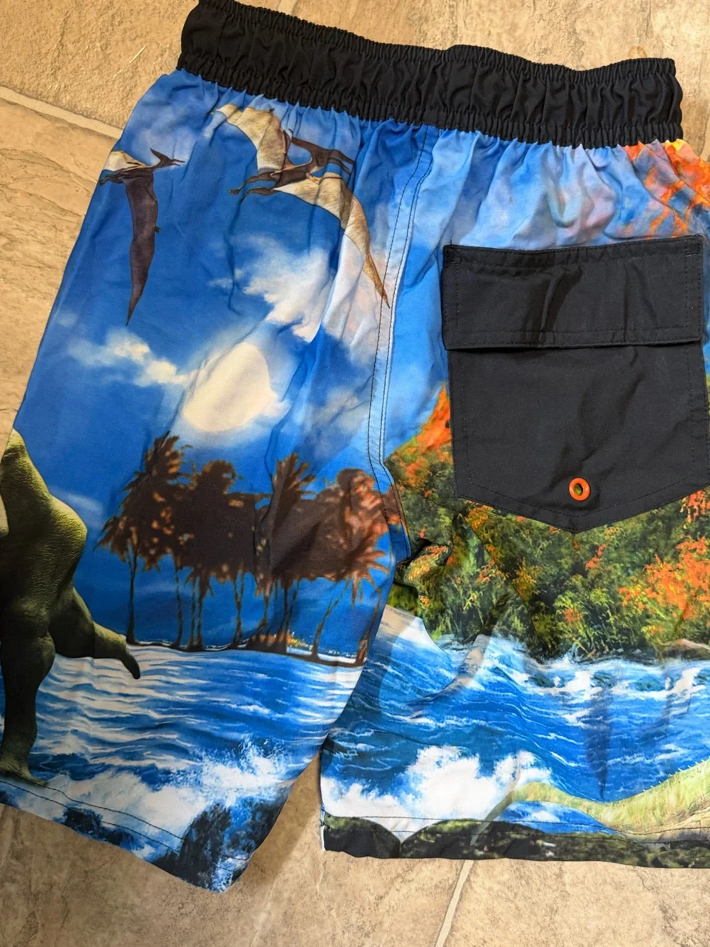 wonder nationBoys Swim Shorts with Realistic Dinosaur Print